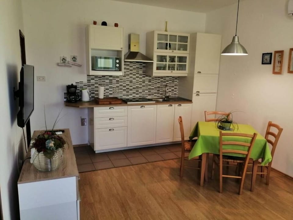 Apartment (A1) | Private kitchen | Fridge, microwave, stovetop, dishwasher