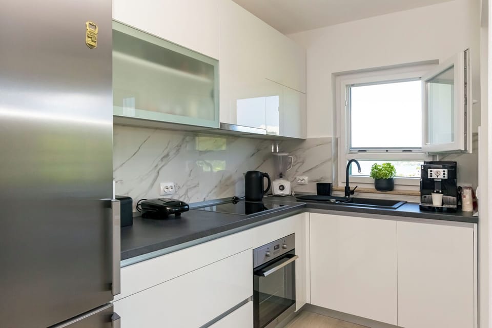 Apartment (A1) | Private kitchen | Fridge, oven, stovetop, dishwasher