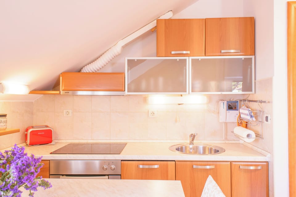 Villa | Private kitchen | Fridge, microwave, oven, stovetop