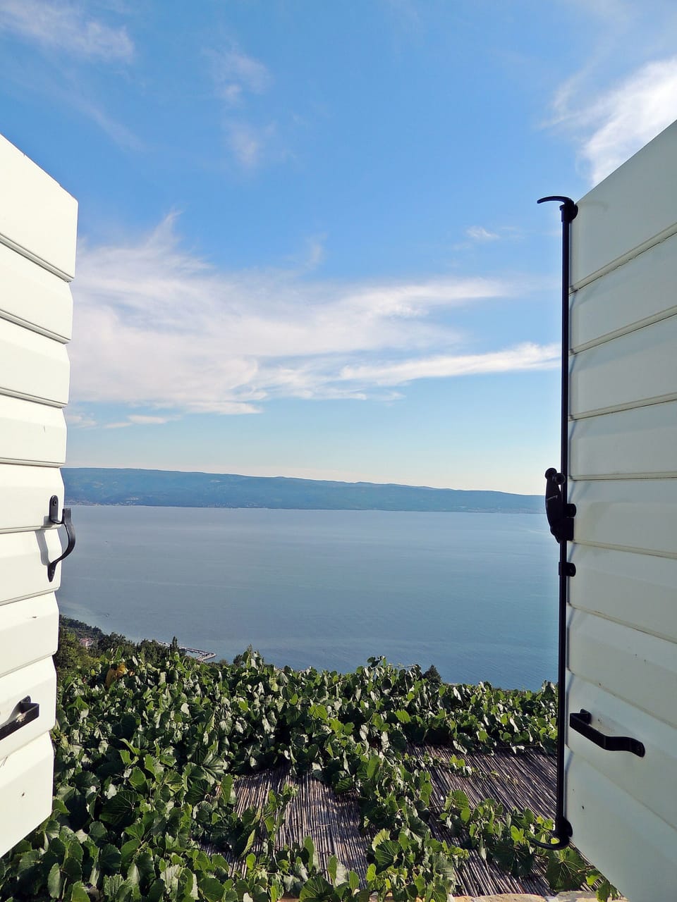 Water view