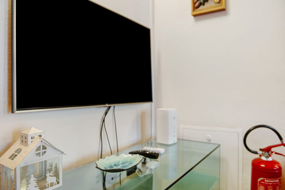 Television