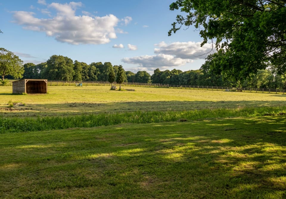 A serene surroundings offering quiet moments