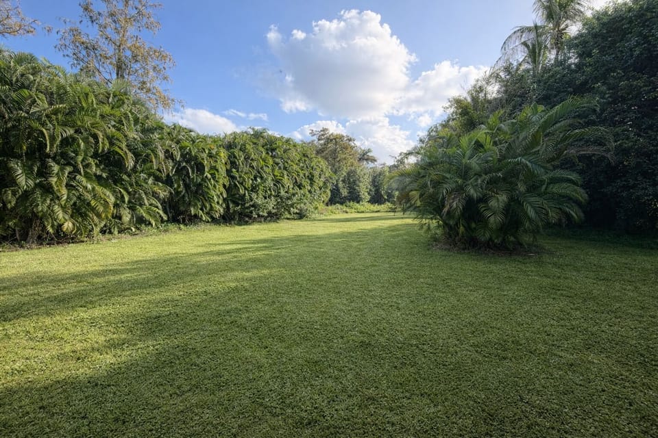 Backyard