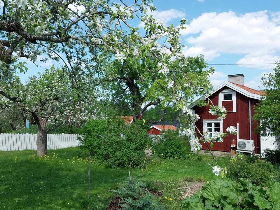 House | Property grounds