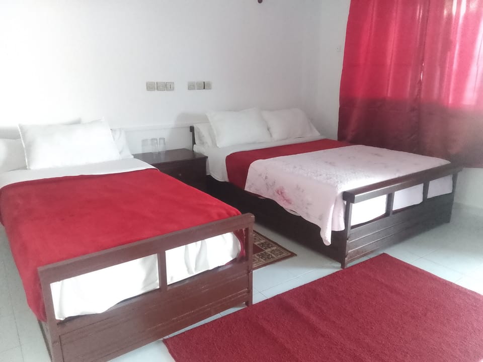 Economy Twin Room