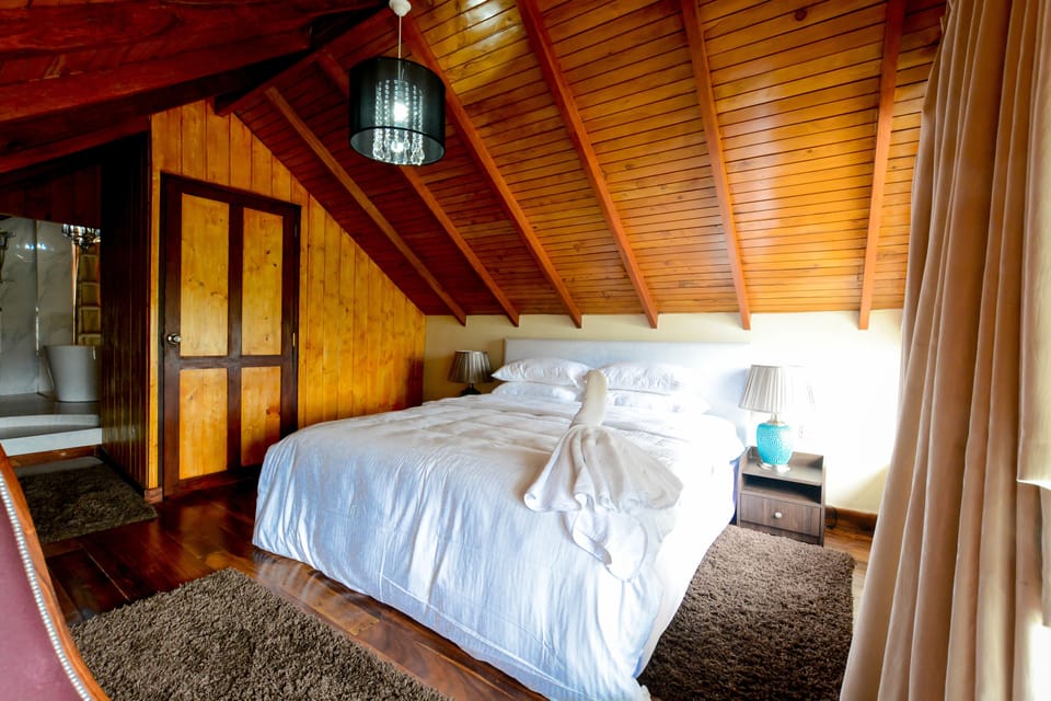 Attic Room | Premium bedding, iron/ironing board, WiFi (free), bed sheets