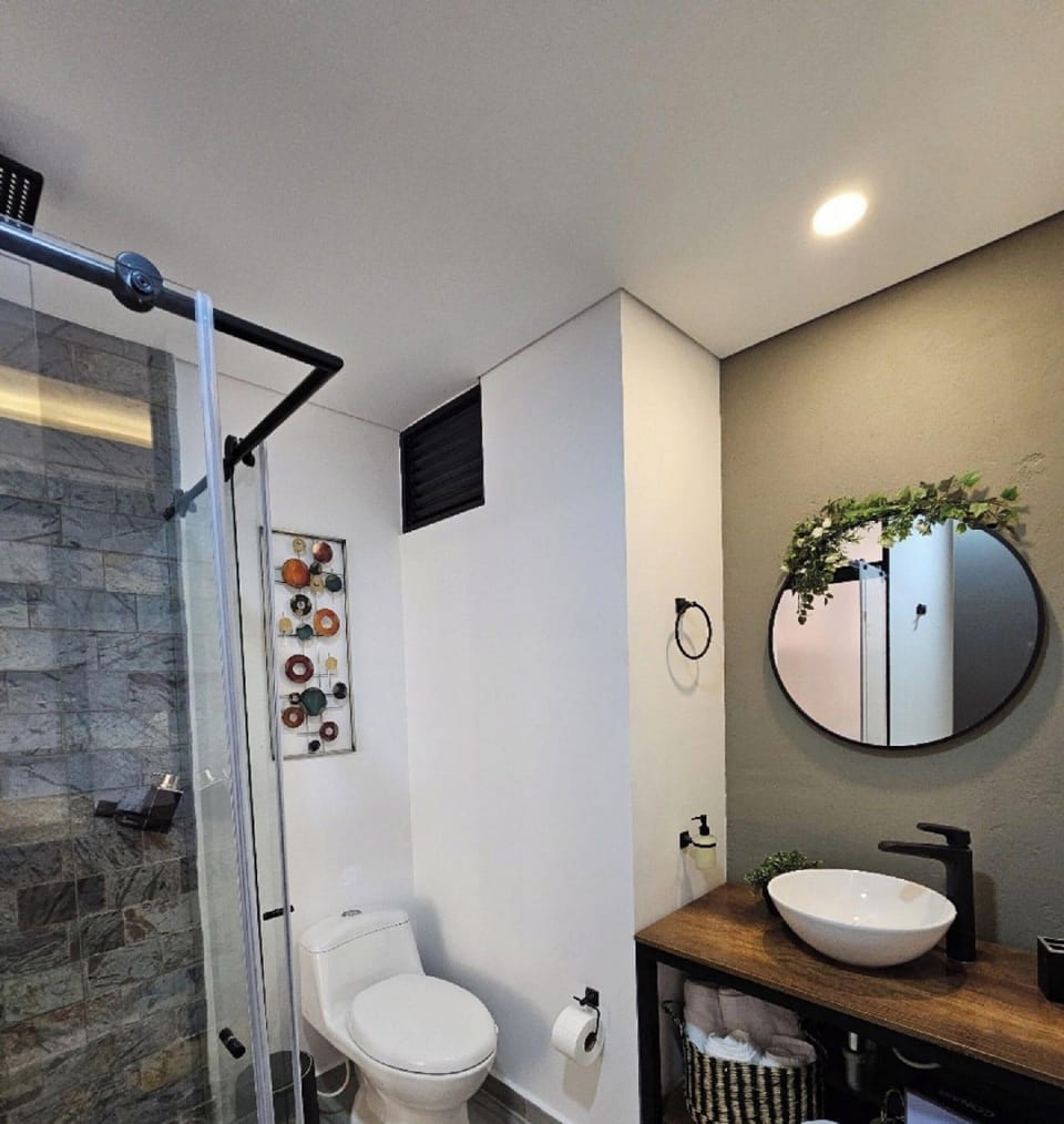 Suite | Bathroom | Shower, hair dryer, towels, soap