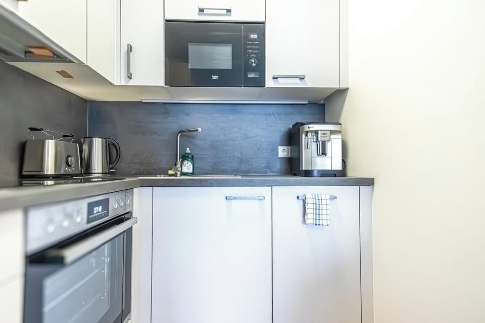 Basic Apartment | Private kitchen | Fridge, microwave, oven, stovetop
