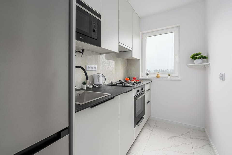 Comfort Apartment, Balcony, Courtyard View | Private kitchen | Full-size fridge, microwave, oven, dishwasher