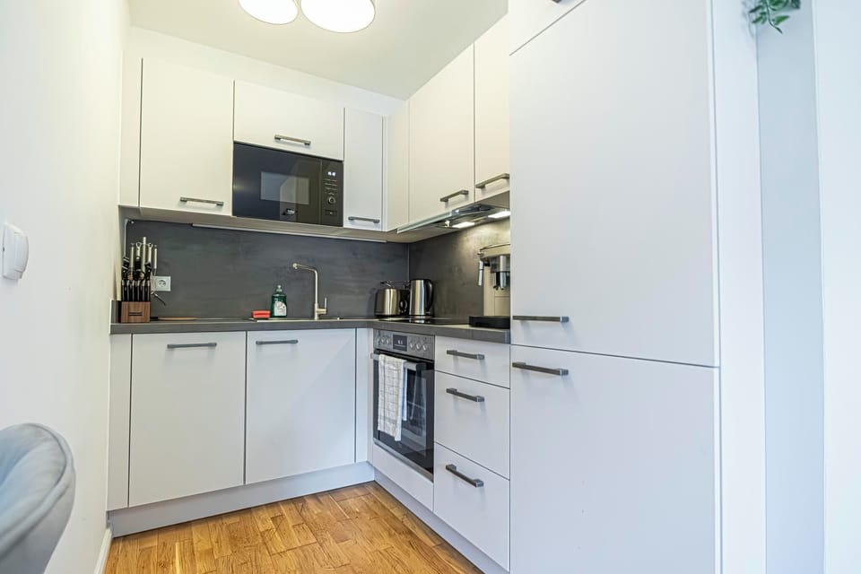 Basic Apartment | Private kitchen | Fridge, microwave, oven, stovetop