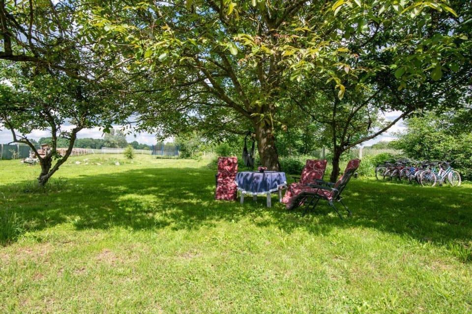 Garden [summer]