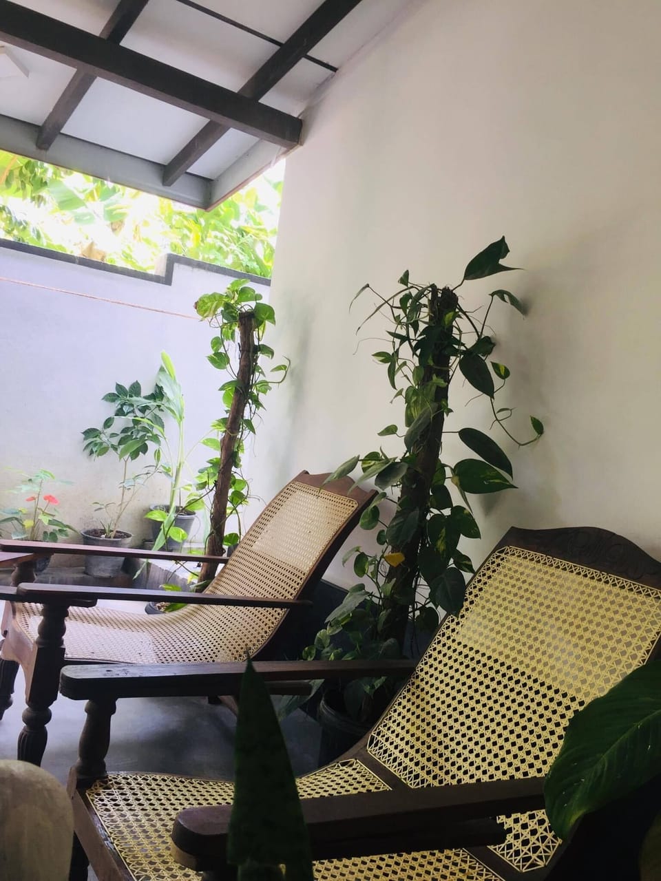 Garden view