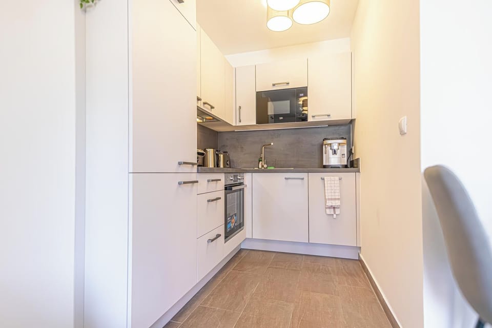 Basic Apartment | Private kitchen | Fridge, oven, stovetop, dishwasher