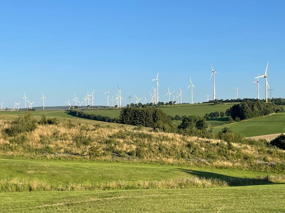 View from Holiday Home [summer]