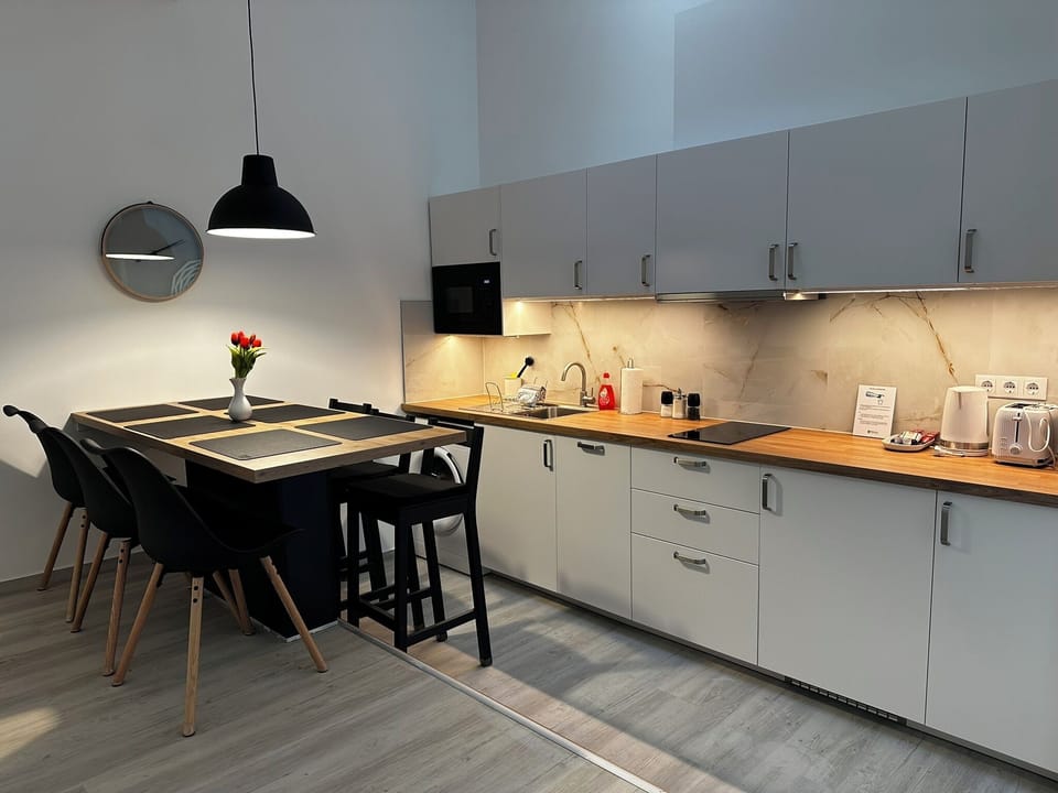 Standard Apartment, 1 Bedroom, Non Smoking, Kitchen | Private kitchen | Fridge, microwave, stovetop, dishwasher