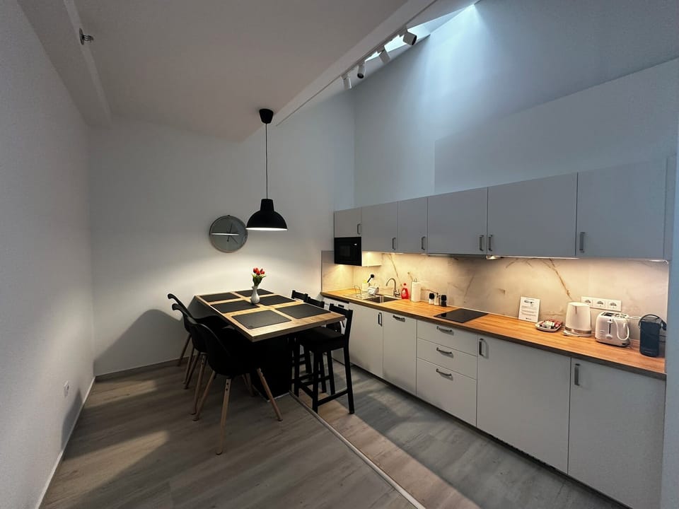 Standard Apartment, 1 Bedroom, Non Smoking, Kitchen | Private kitchen | Fridge, microwave, stovetop, dishwasher