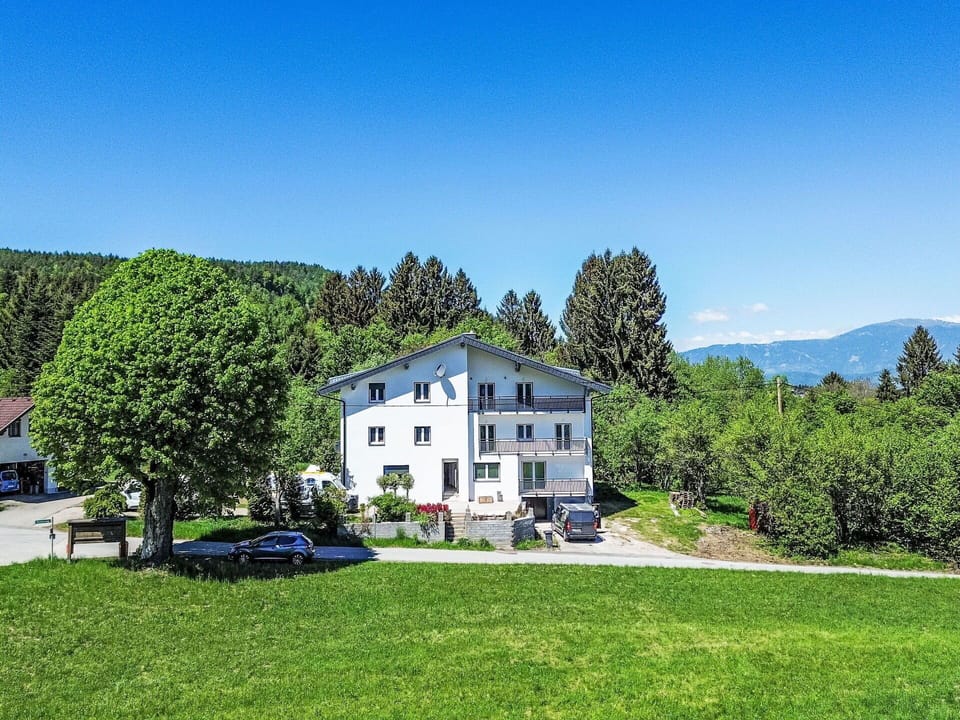Tree, House, Home, Residential Area, Land Lot, Cottage, Rural Area, Human Settlement, Estate