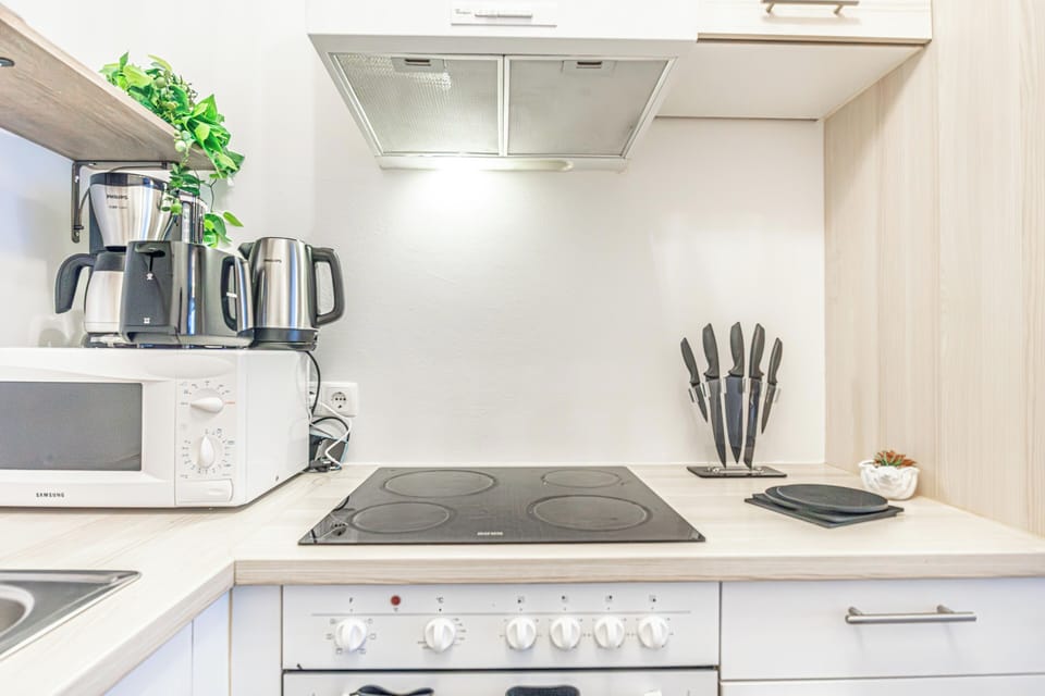Basic Apartment | Private kitchen | Fridge, microwave, oven, stovetop