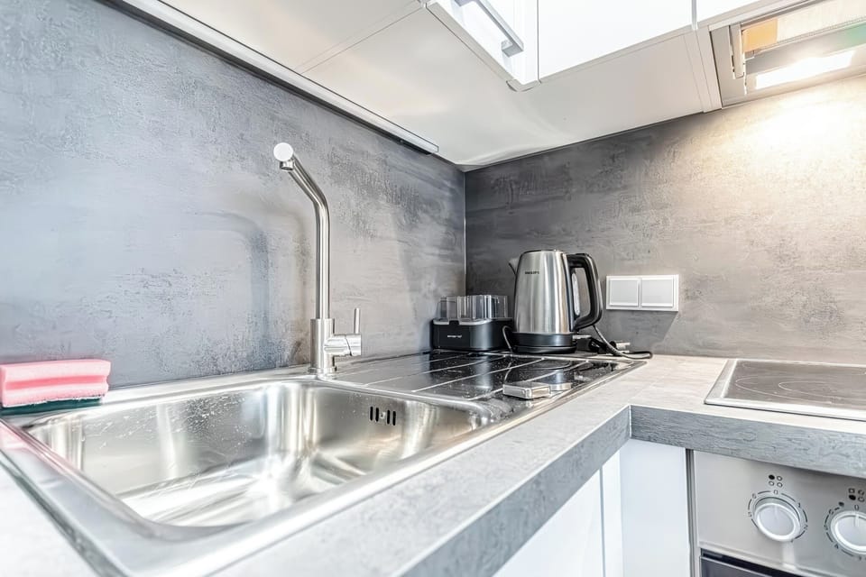 Basic Apartment | Private kitchen | Fridge, microwave, oven, stovetop