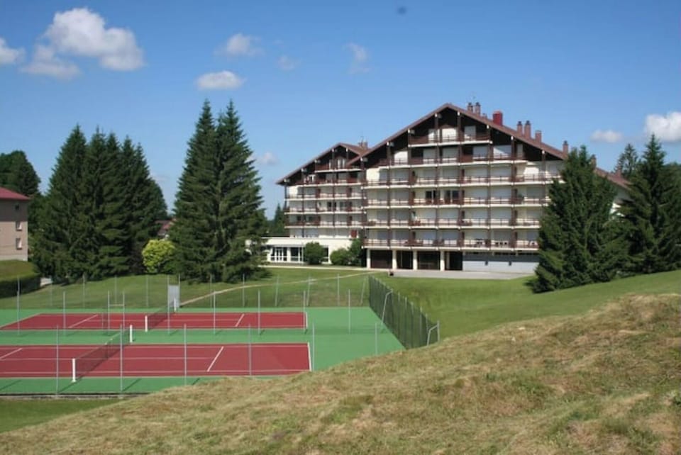 Sport court