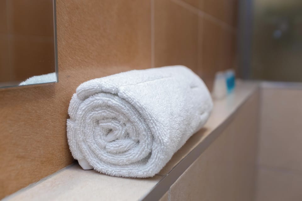 Studio | Bathroom | Shower, free toiletries, towels, soap