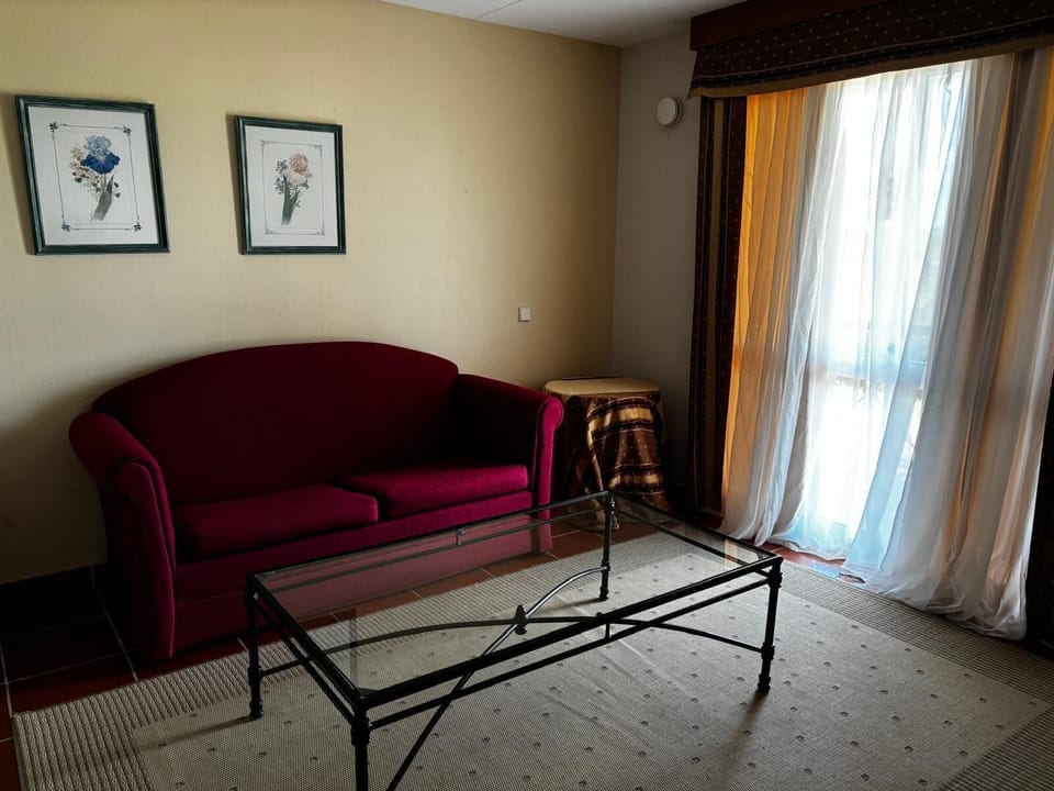 Superior Suite, Pool View | Minibar, in-room safe, blackout drapes, soundproofing