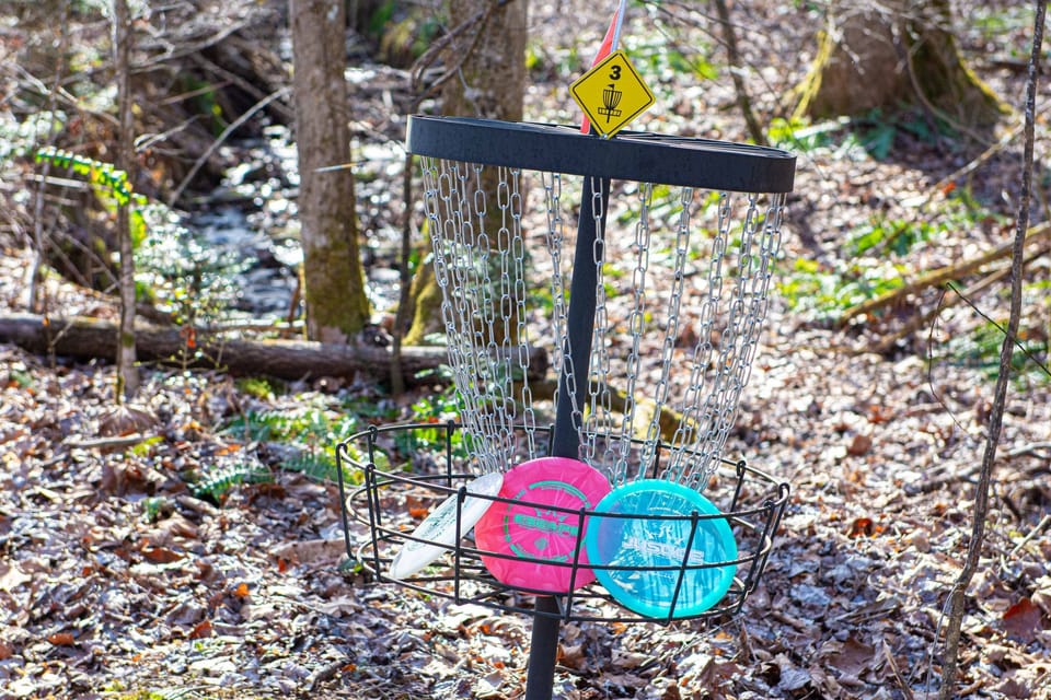 Disc Golf