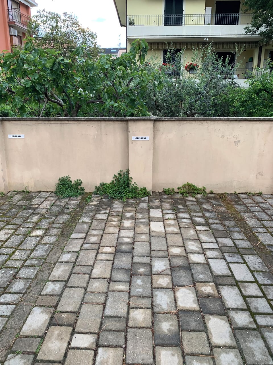Property grounds
