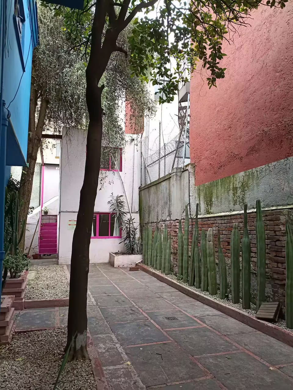 Property grounds