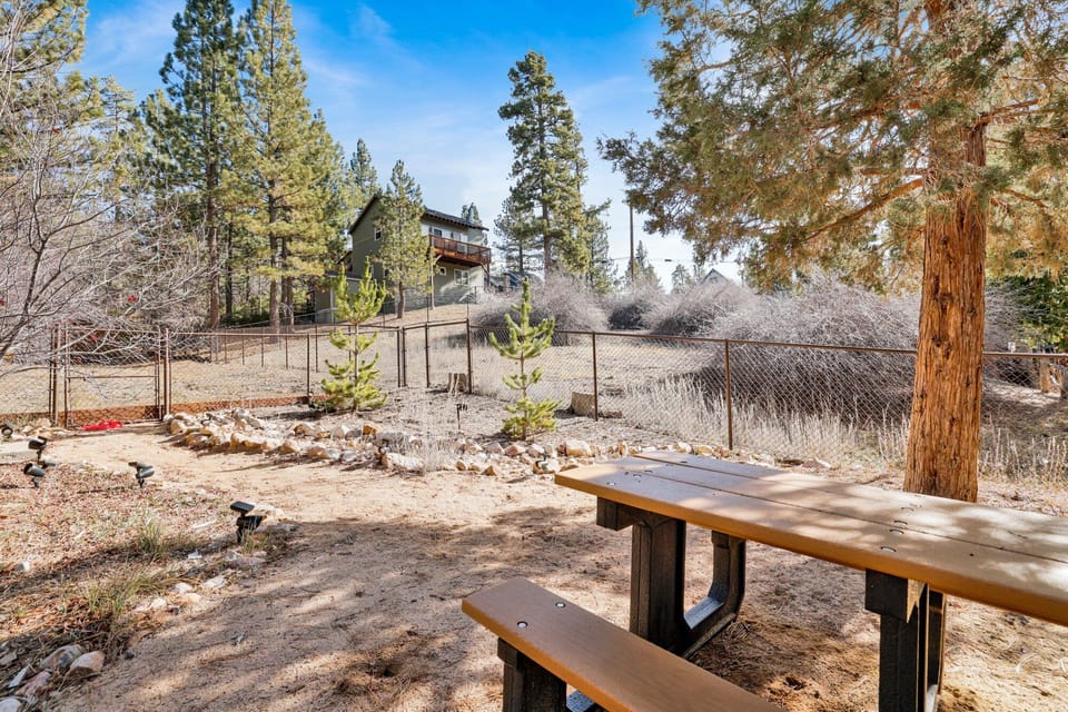 Private outdoor backyard, surrounded by tall pines, perfect for relaxing under the trees after a day of adventure—enjoy peaceful forest views, fresh air, and a truly rejuvenating stay.