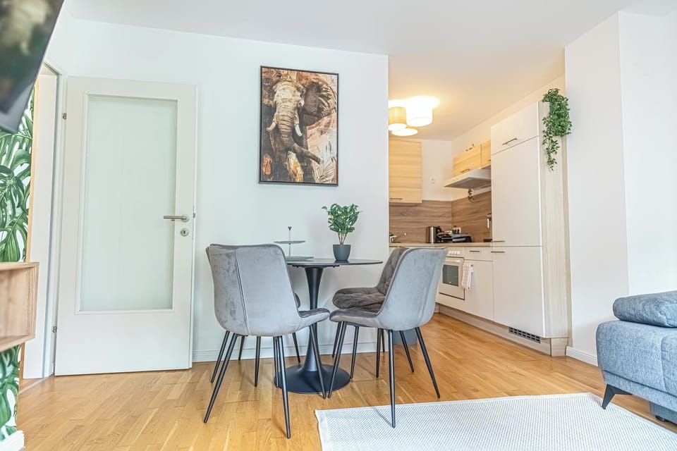 Basic Apartment | Private kitchen | Fridge, oven, stovetop, dishwasher