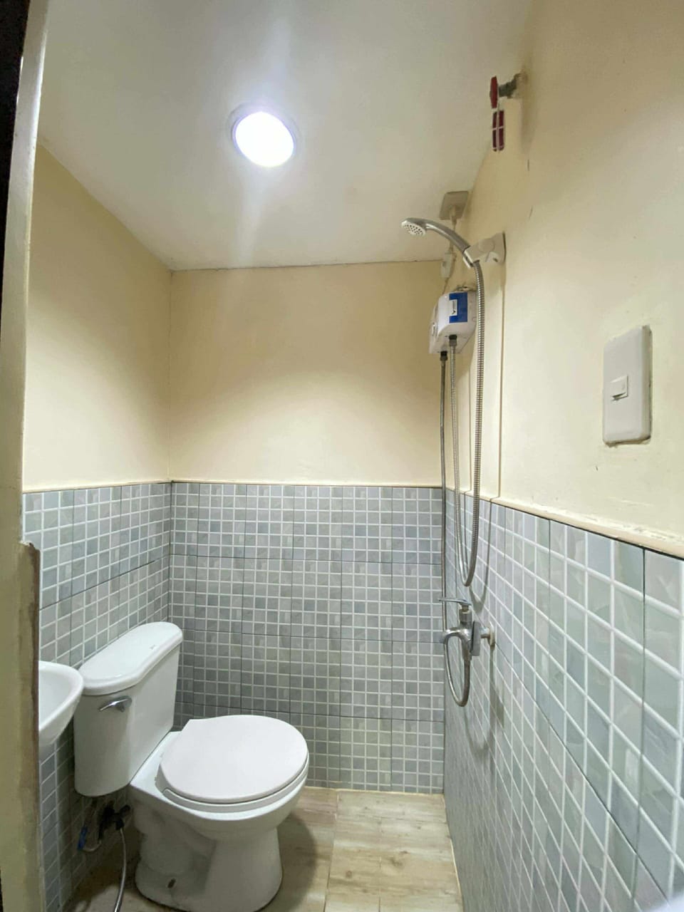 Shower, free toiletries, bidet, soap