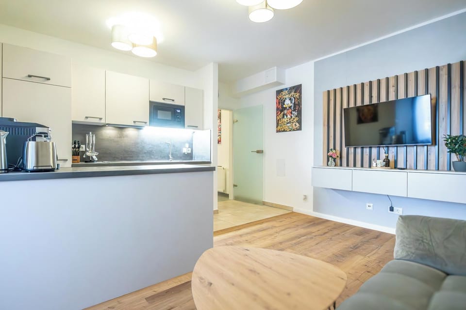 Basic Apartment | Private kitchen | Fridge, microwave, oven, stovetop