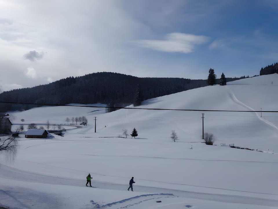 Snow and ski sports