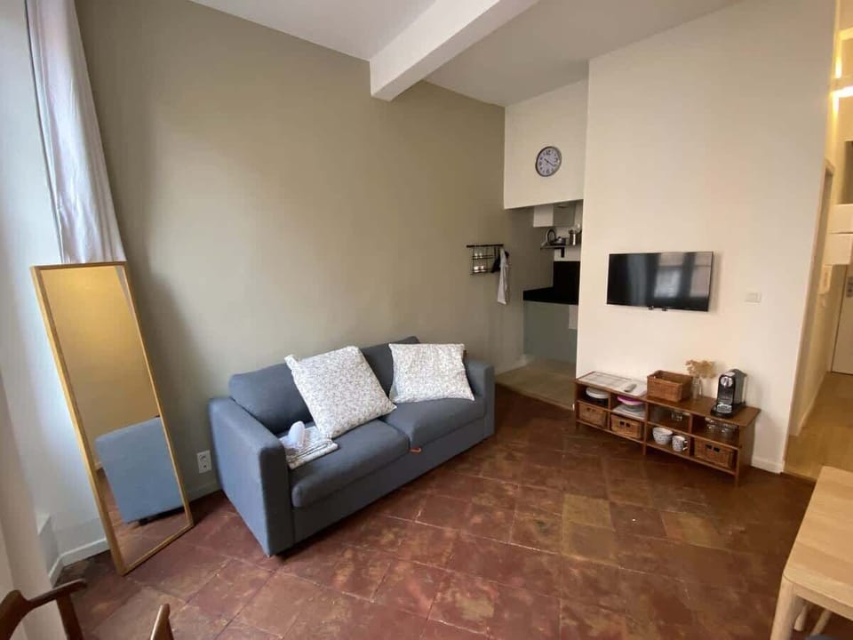 Salon spacieux avec canapé, miroir en pied, TV et rangements — pièce de vie du studio Le Daurade Toulouse