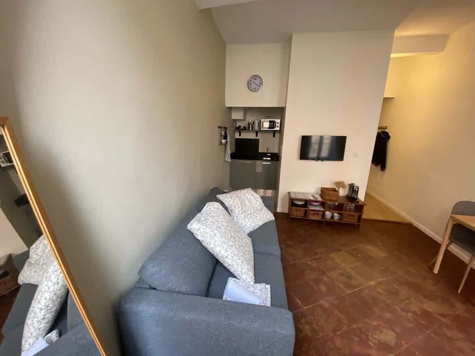 Canapé avec coussins, miroir en pied et TV murale — espace détente du studio Le Daurade près du Capitole Toulouse