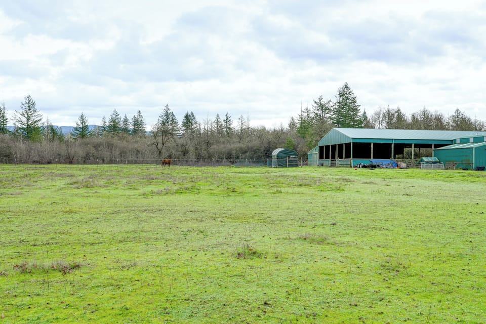 Horse Farm Views