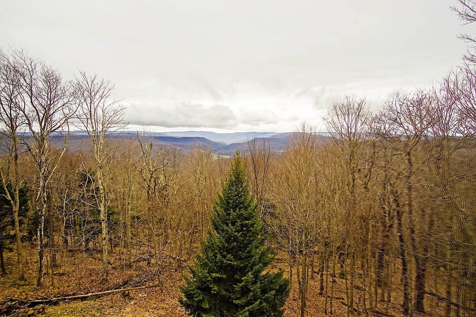 House, Multiple Beds, Pool Access, Mountain View (4 Br: N. Westridge Rd. 32) | View from room