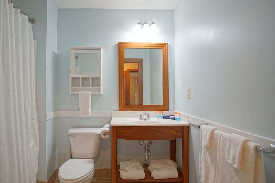 Allegheny Springs 201 : 2 Bedroom, 2 Full Bath: Slope Side; Gas Fireplace Apartment in Snowshoe