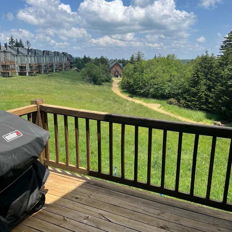BBQ/picnic area