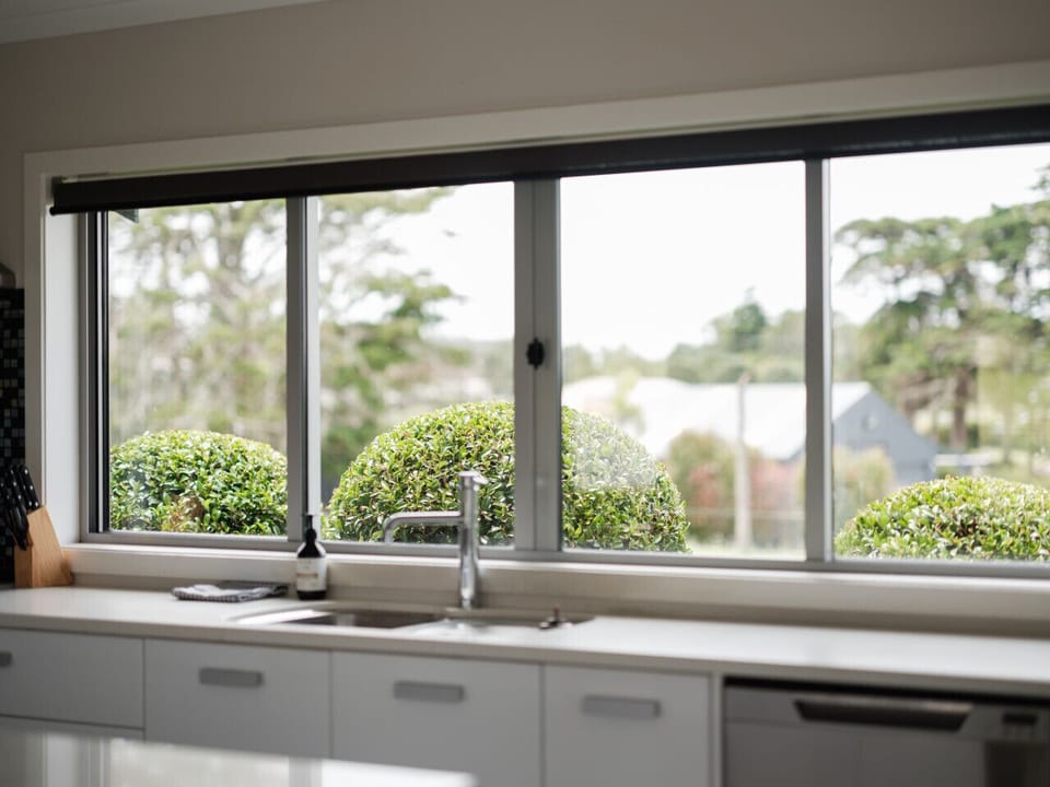 Kitchen with greenery