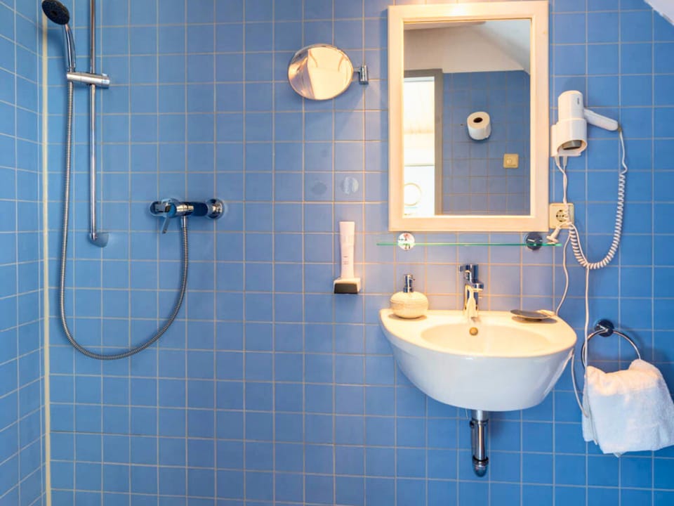 Single Room | Bathroom | Shower, hair dryer, towels, soap