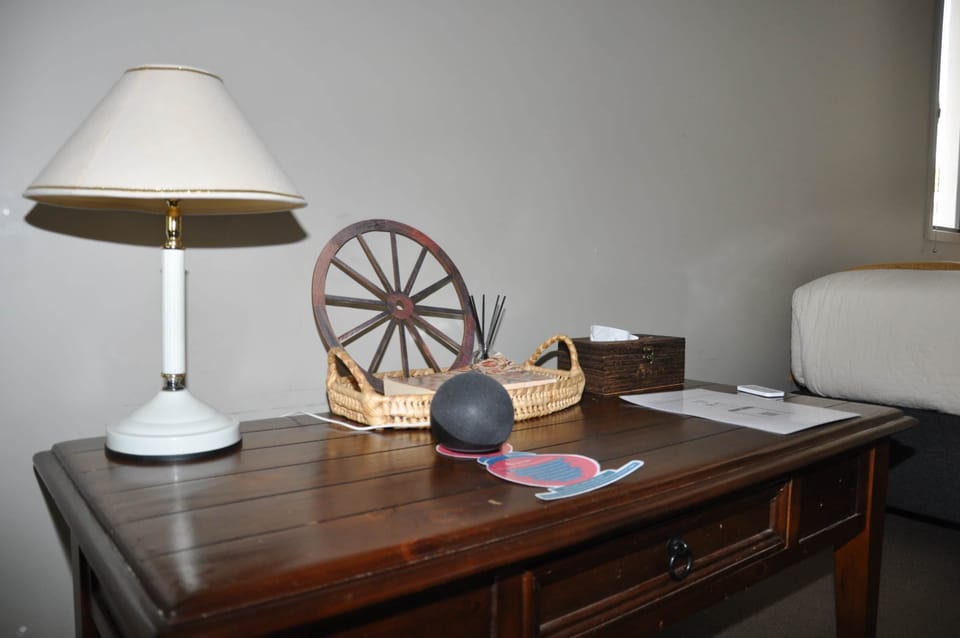 Decor with Echo Dot