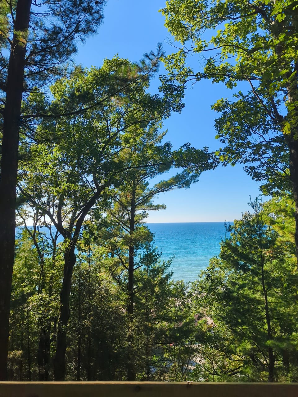 View from property