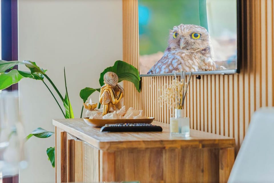 Thoughtfully designed interiors with calming décor details that create a peaceful, welcoming atmosphere.