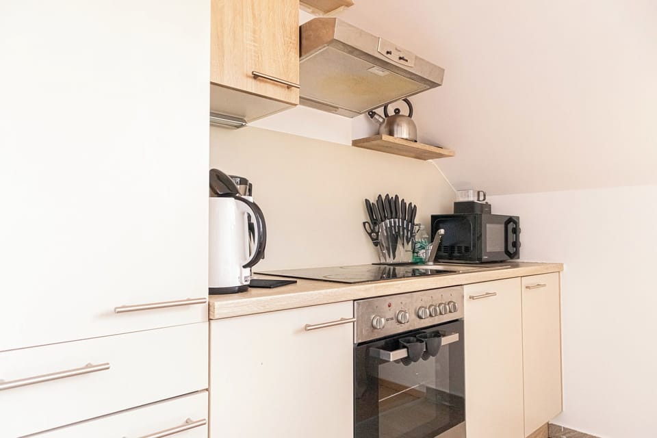 Basic Apartment | Private kitchen | Fridge, microwave, oven, stovetop
