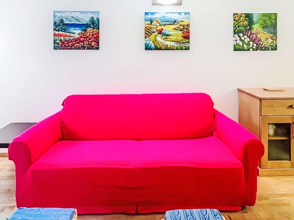 Red, Couch, Textile, Furniture, Cushion, Flooring, Pink, Floor, Living Room
