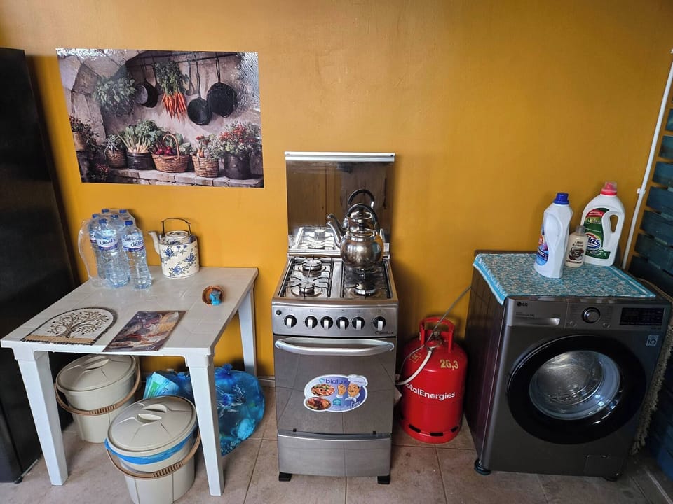 Apartment, 1 Bedroom, Smoking, Balcony | Laundry