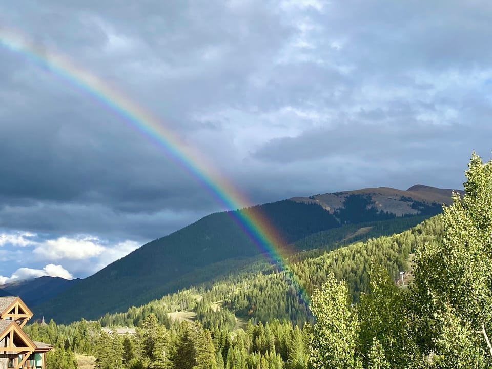 A stunning rainbow arcs across the forest