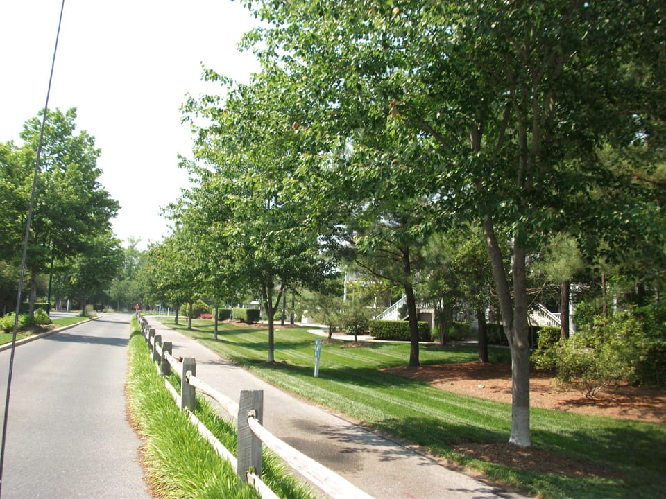 15002 Tall Pines Ct - Scenic Fitness Trails - Explore the miles of paved walking and fitness trails that wind through the lush, wooded grounds of Sea Colony West. It’s a runner's paradise just steps away from your front door.